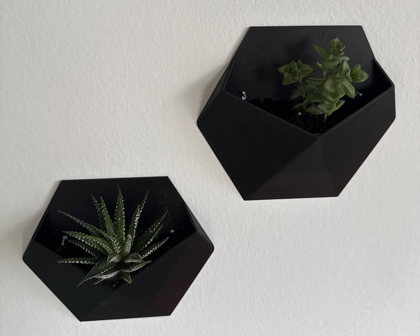 GeoBloom Wall Planters