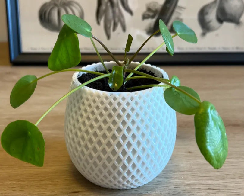 Verdura Mesh Planter
