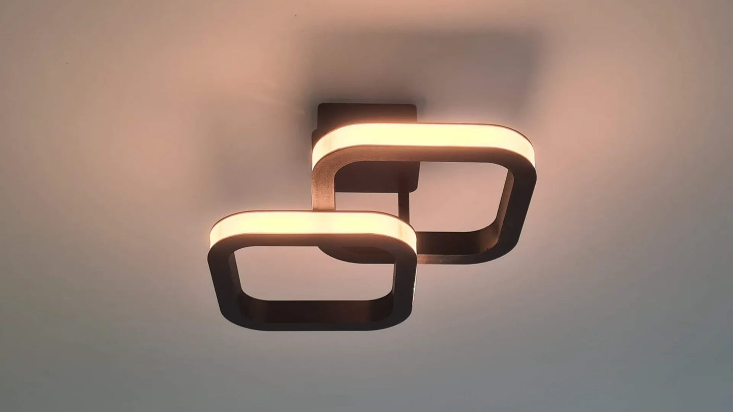 LumoLoop Ceiling Light