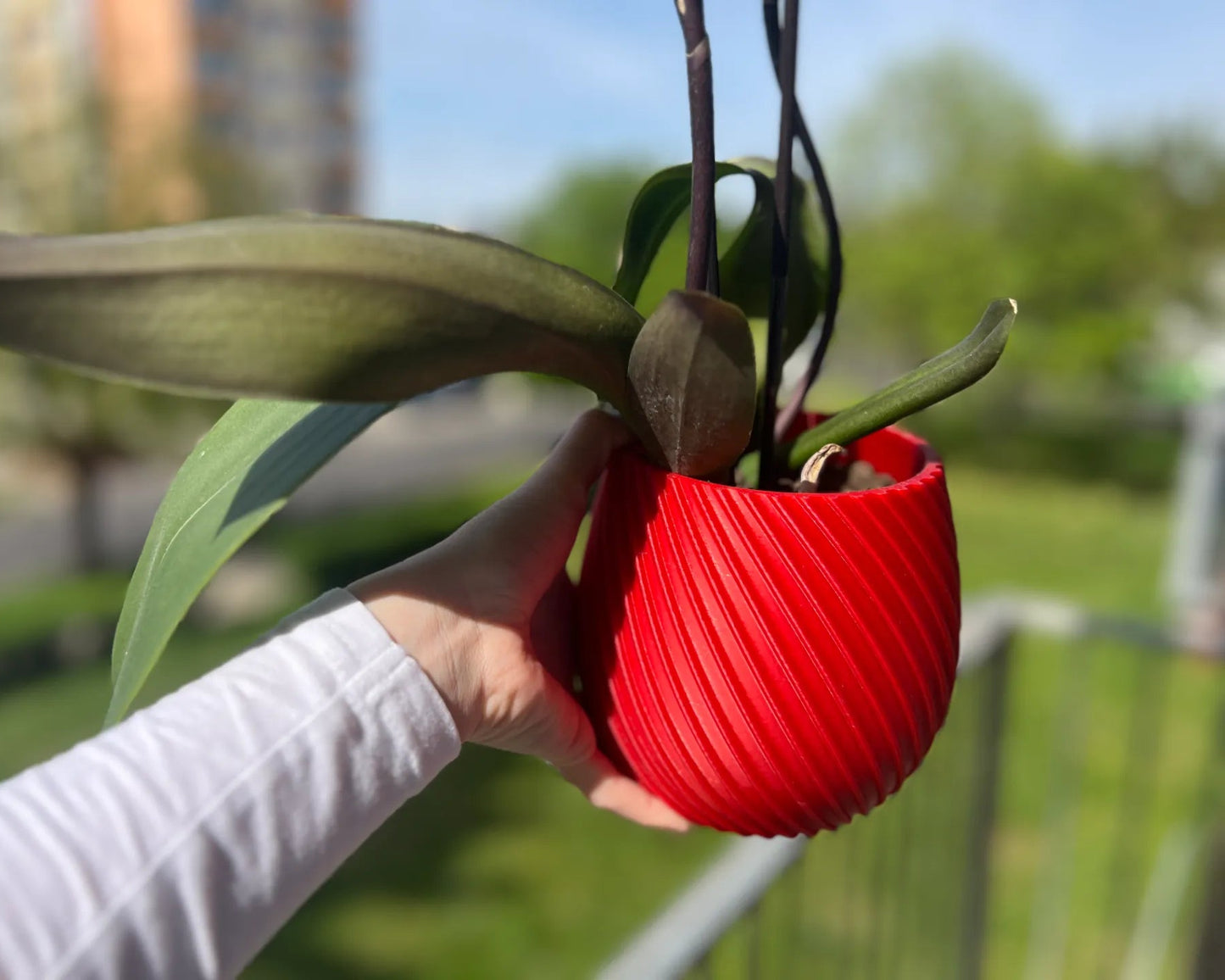 SpiraGlow Planter