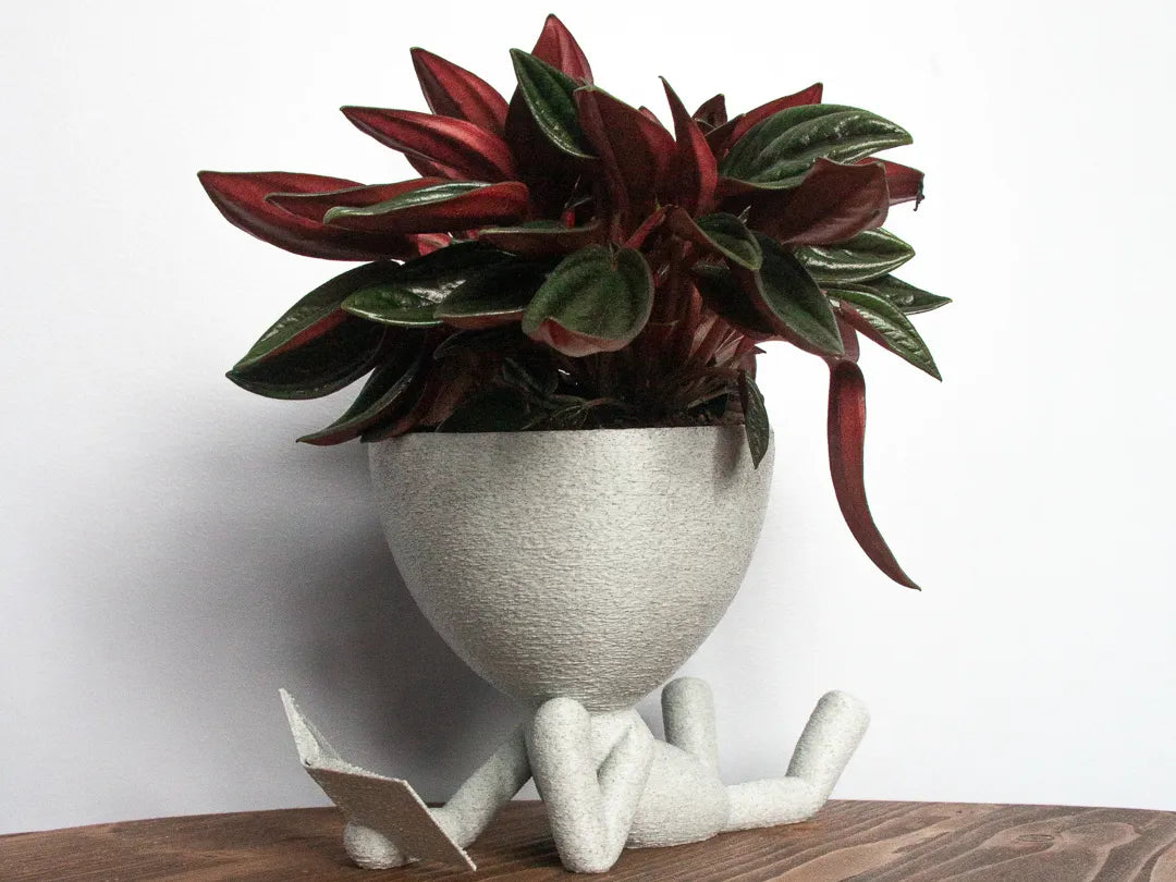 ChillBuddy Reading Planter