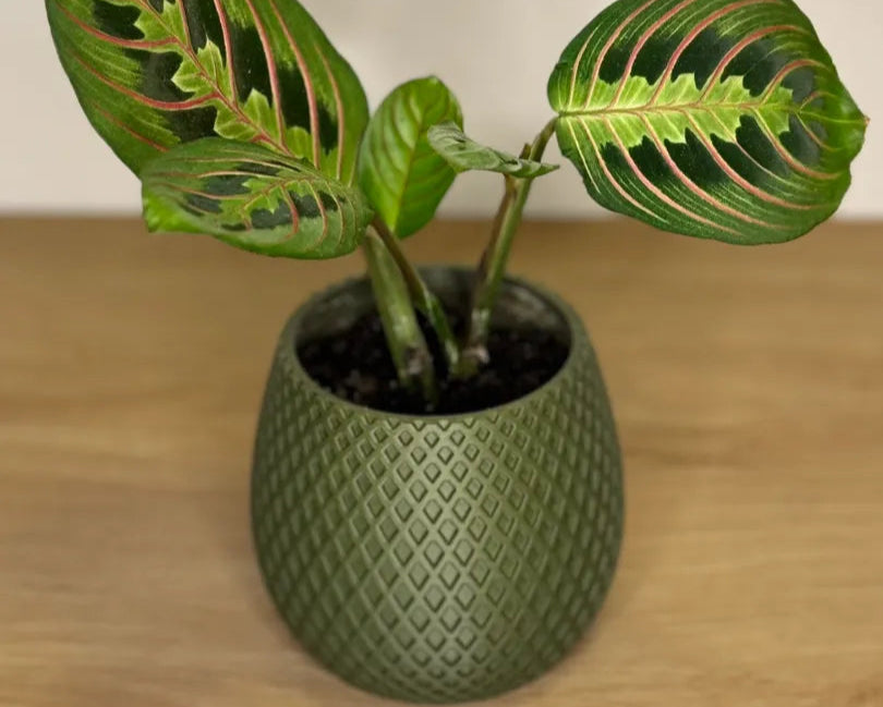 Verdura Mesh Planter