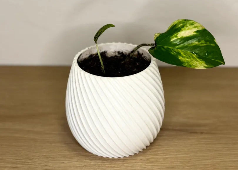 SpiraGlow Planter