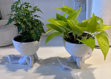 ChillBuddy Reading Planter