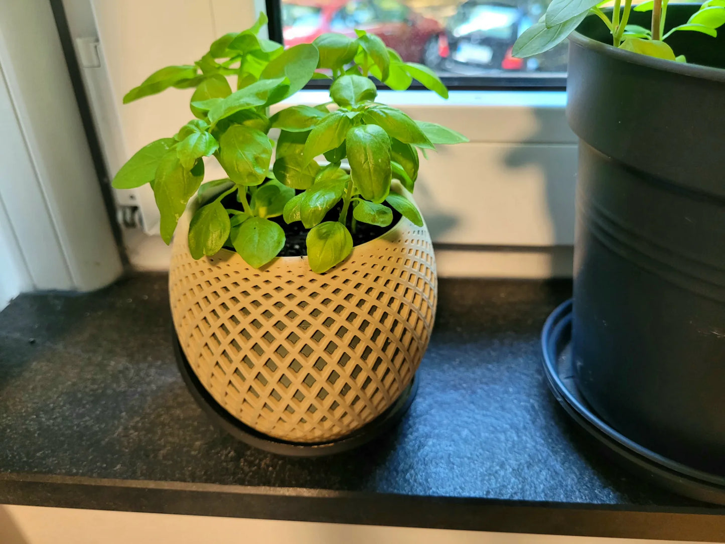 Polygon Planter - Wrap around plate