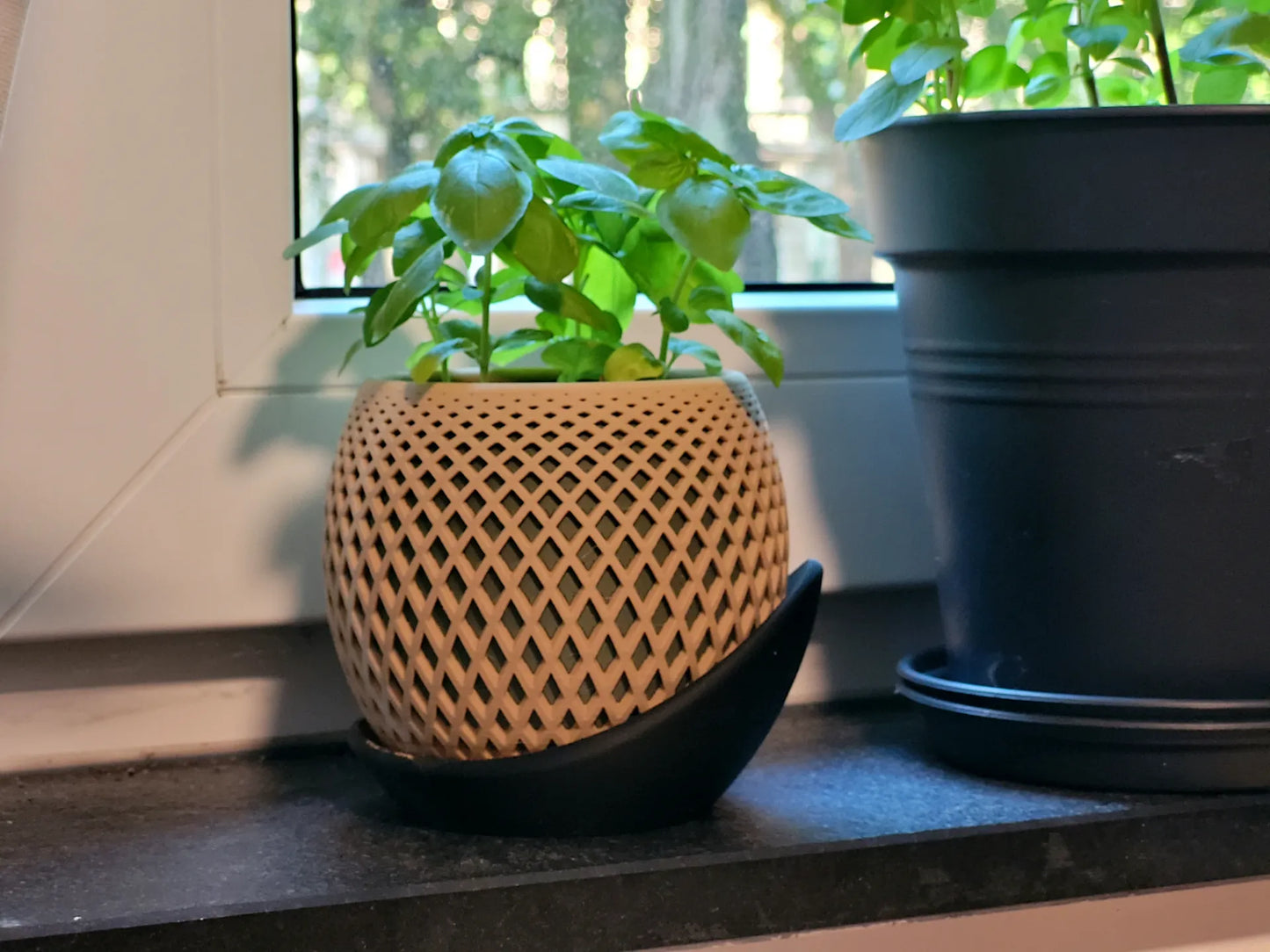 Polygon Planter - Wrap around plate