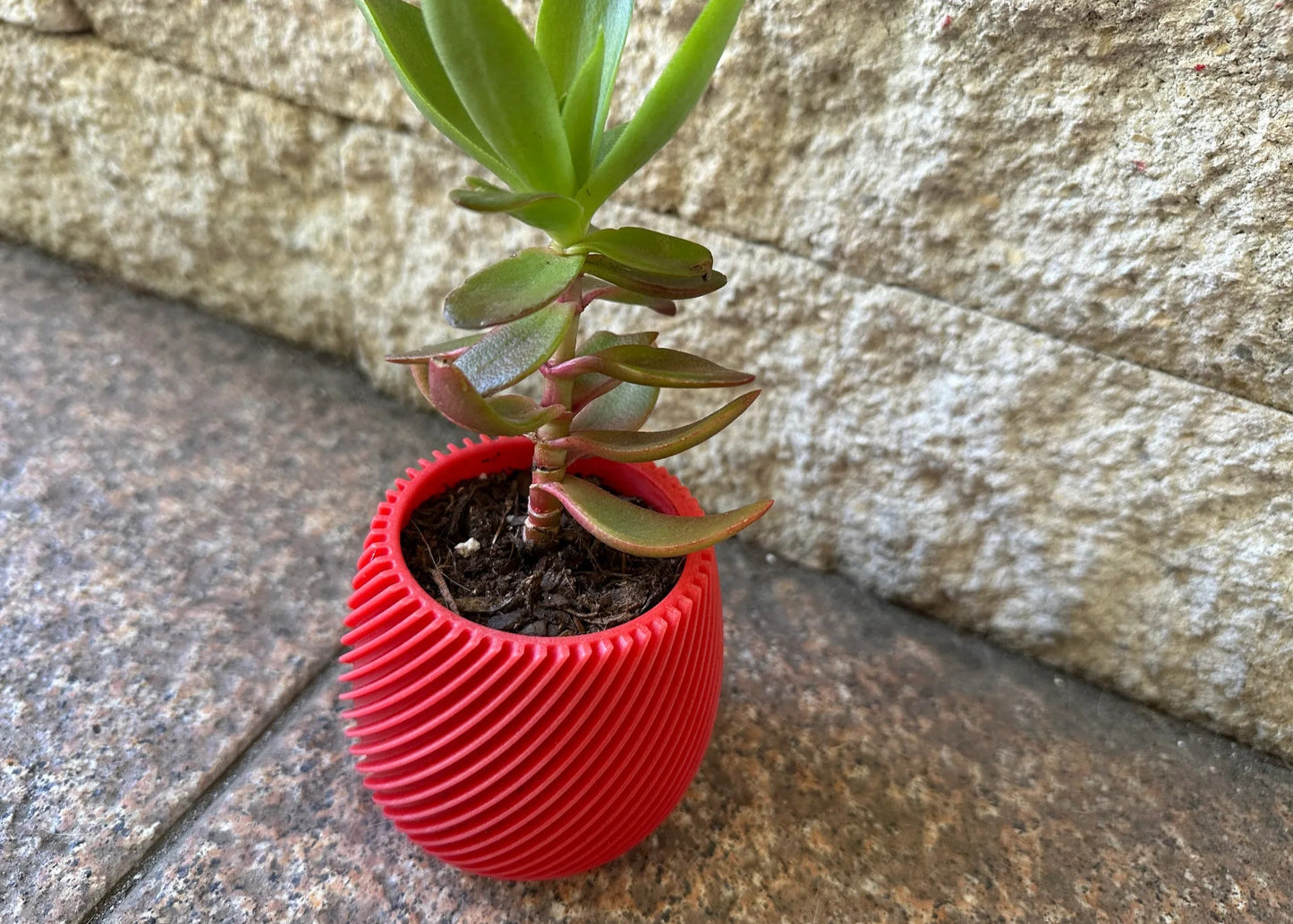 SpiraGlow Planter