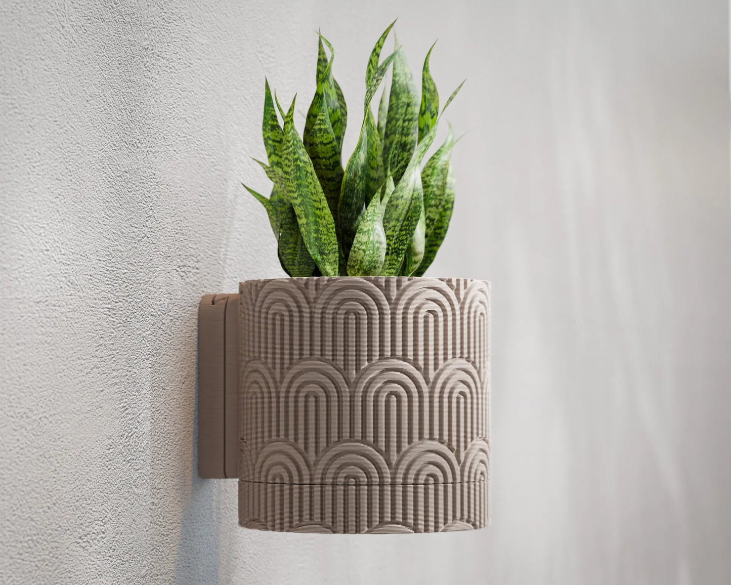 Arco Wall Planter