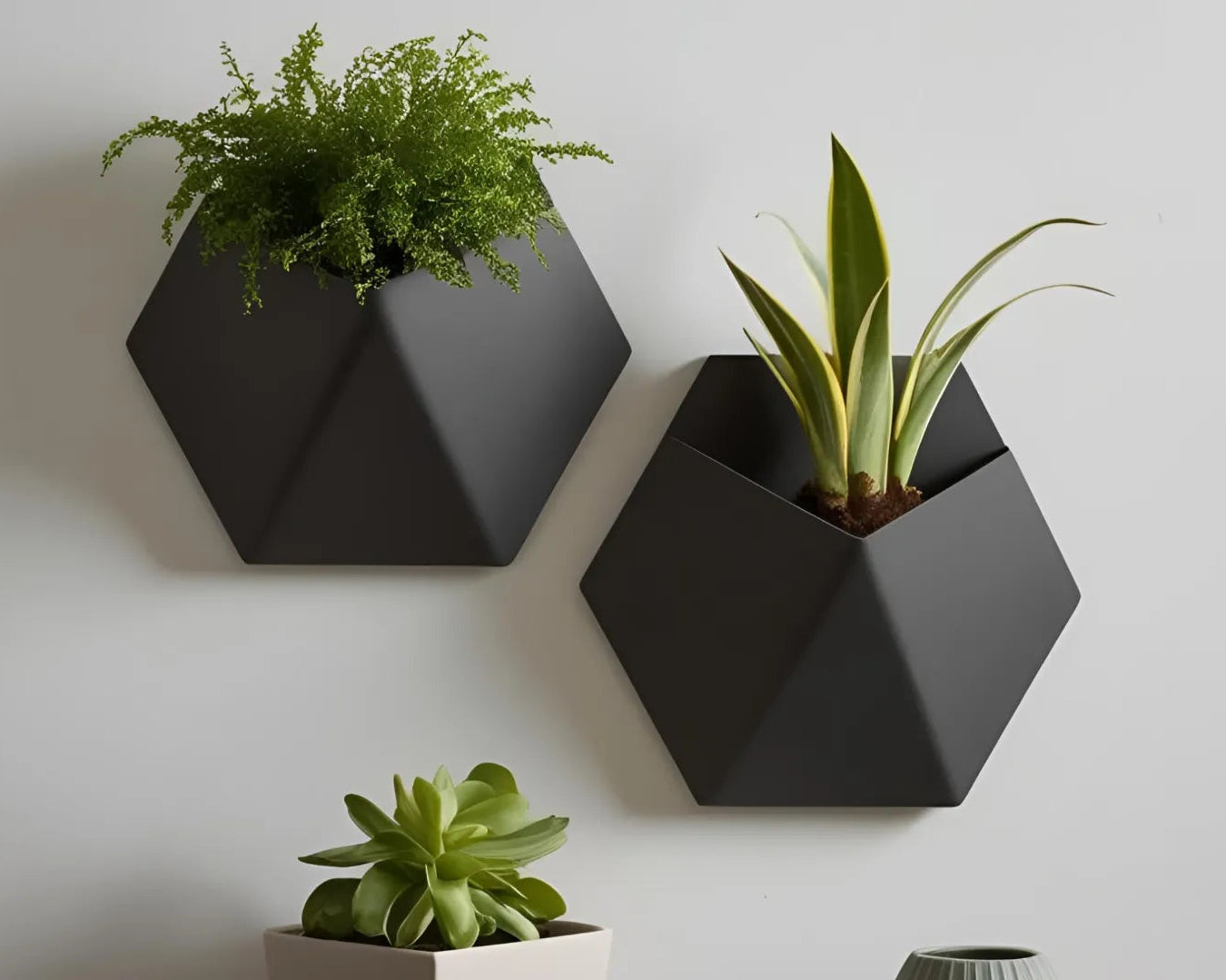 GeoBloom Wall Planters