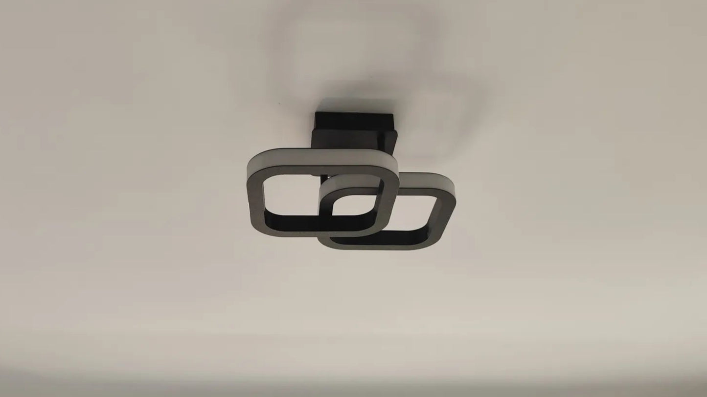 LumoLoop Ceiling Light