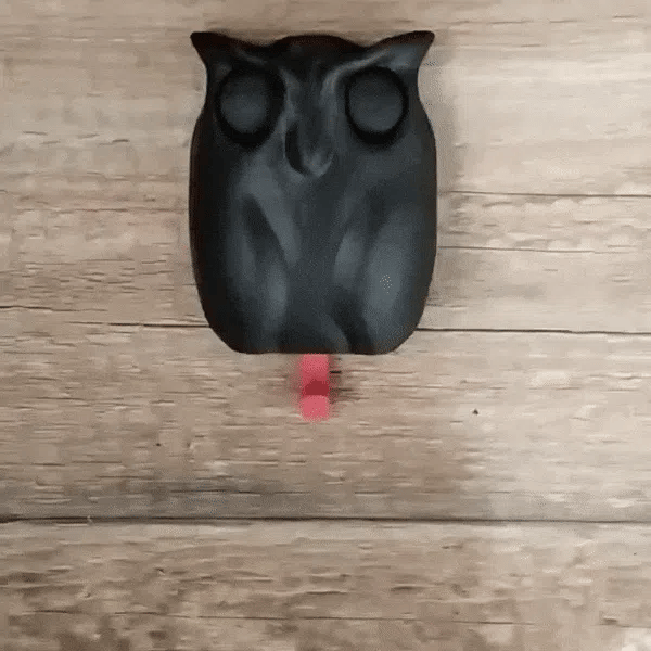 WiseHook Owl Keyholder🦉