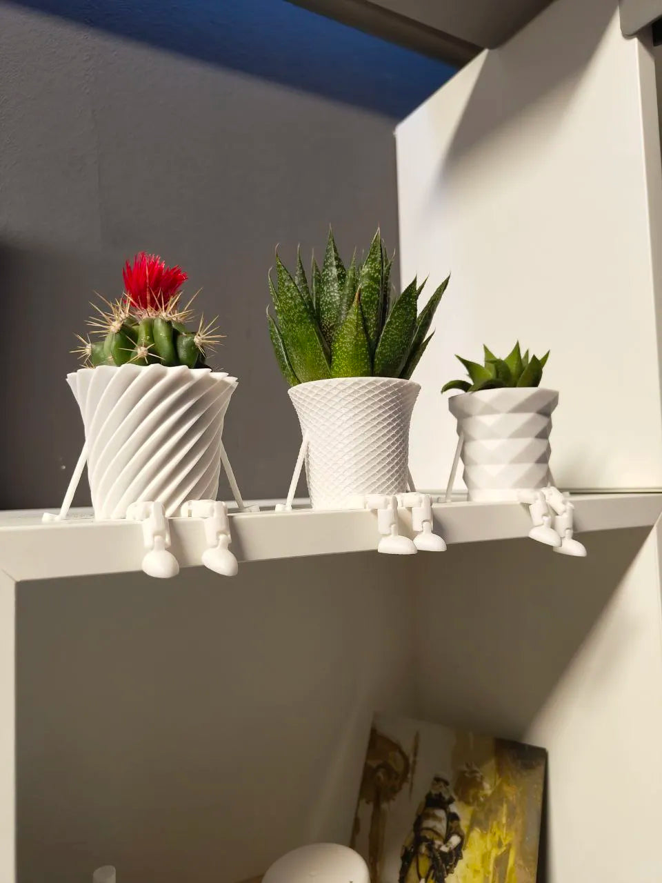 Tiny Buddy Pots – Sitting Planters Collection (3-Set)