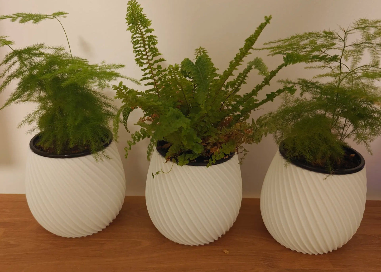 SpiraGlow Planter