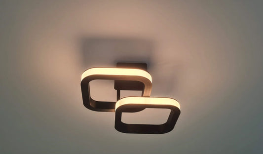 LumoLoop Ceiling Light