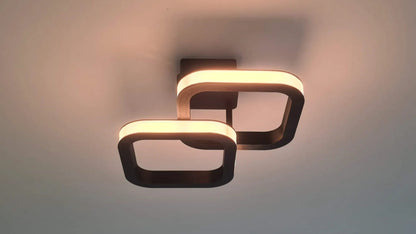 LumoLoop Ceiling Light
