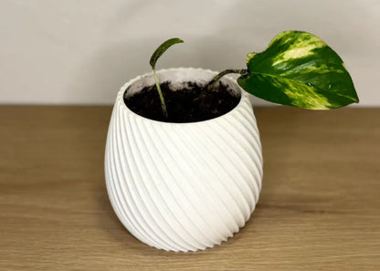 SpiraGlow Planter