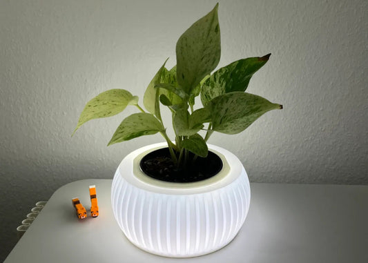 GlowNest Lamp cum Planter