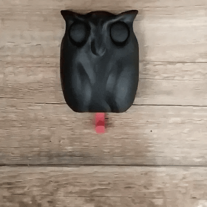 WiseHook Owl Keyholder🦉