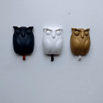 WiseHook Owl Keyholder🦉