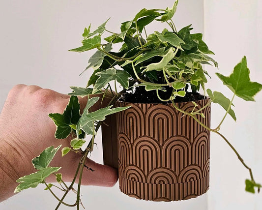 Arco Wall Planter
