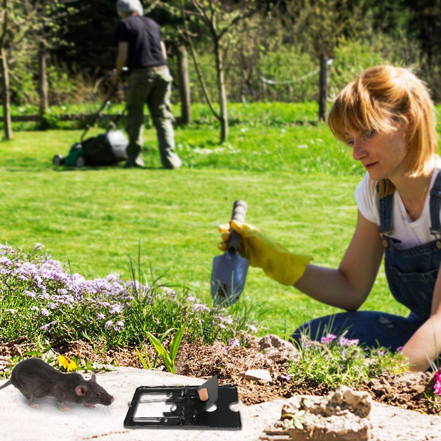 Mouse Trap Catcher Rodent Traps Mice Control Mice Snap Kill Trap (2 Pc)