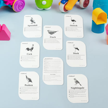 Kidkraft Early Learner Educational Flashcards  32 Birds