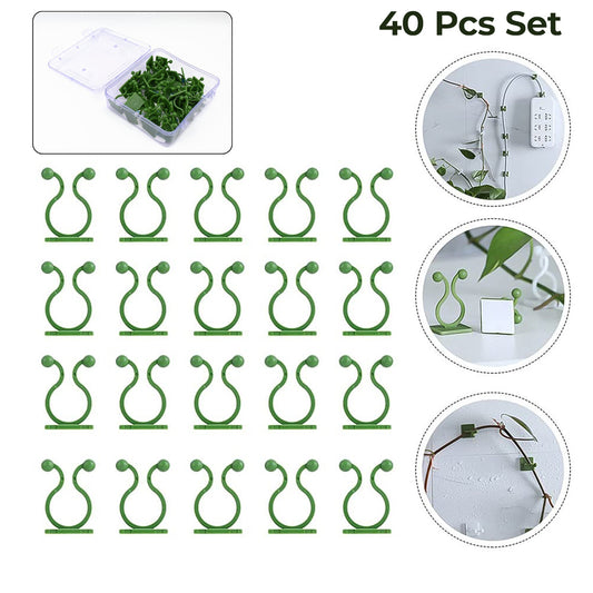Plant Climbing Wall Fixture Clip Self-adhesive Hook (40 Pcs Set  With Plastic Box)