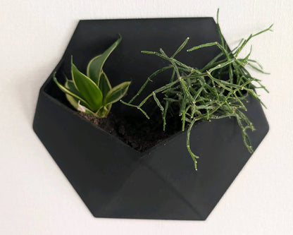 GeoBloom Wall Planters