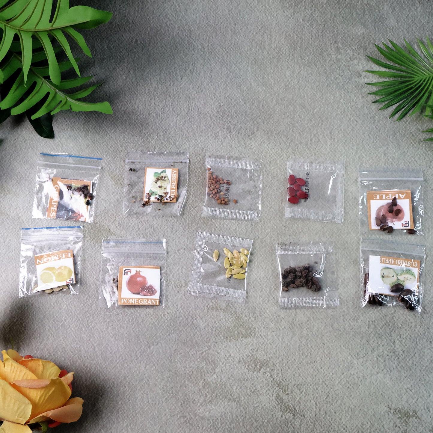 Fruit Seeds Combo Pack - (10 Pc  Set)