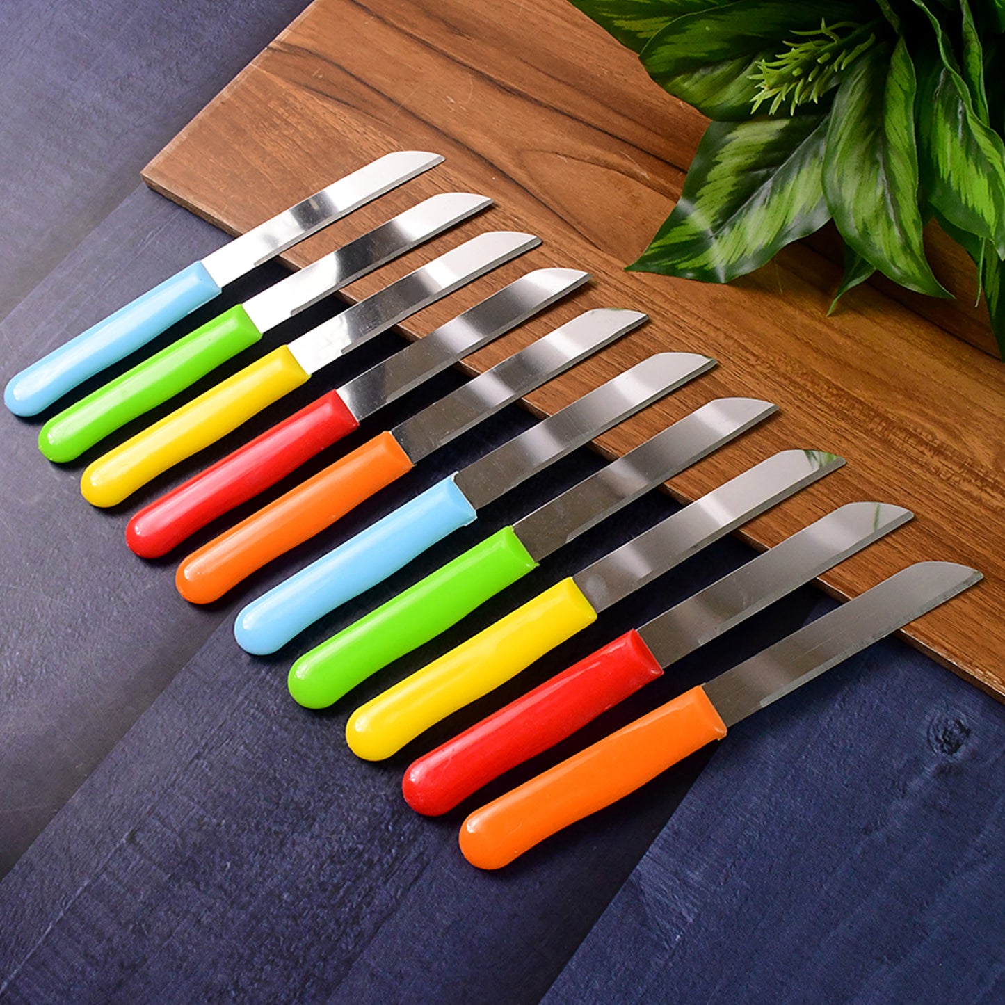 Premium Quality Stainless Steel Handle Plain Knife (10 Pc  1 Set)