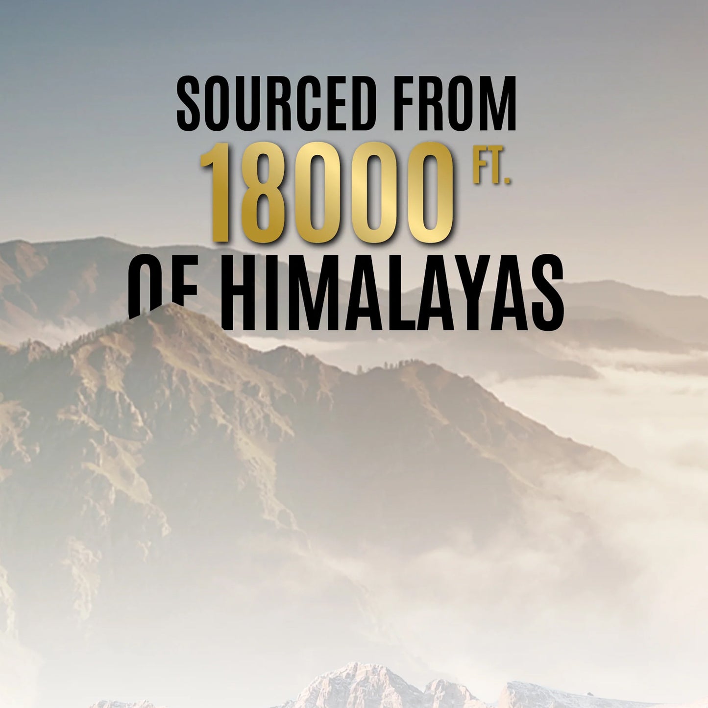 Og Wellness Pure Himalayan Shilajit Resin (20 Gm  1 Pc)